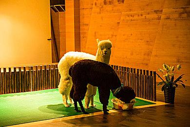 消息称2024年《使命召唤》战场设置在海湾战争